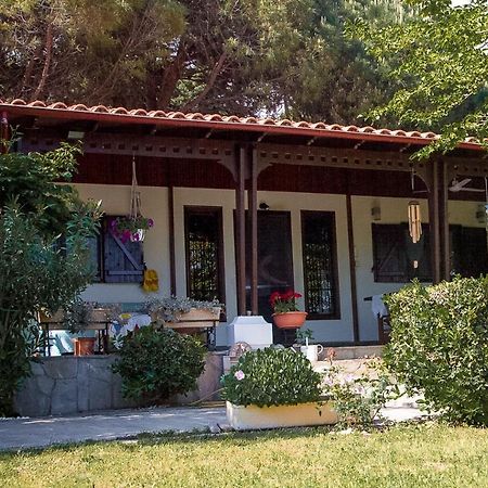 Estate Irene Βίλα Αλεξανδρούπολη Εξωτερικό φωτογραφία