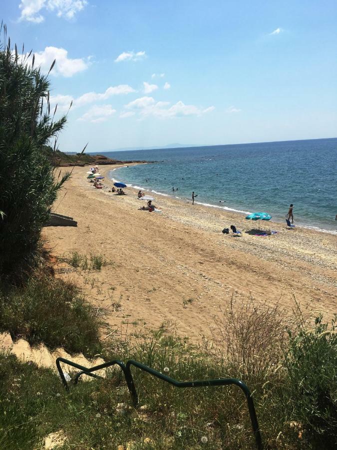 Estate Irene Βίλα Αλεξανδρούπολη Εξωτερικό φωτογραφία