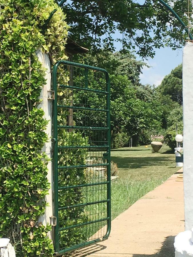 Estate Irene Βίλα Αλεξανδρούπολη Εξωτερικό φωτογραφία