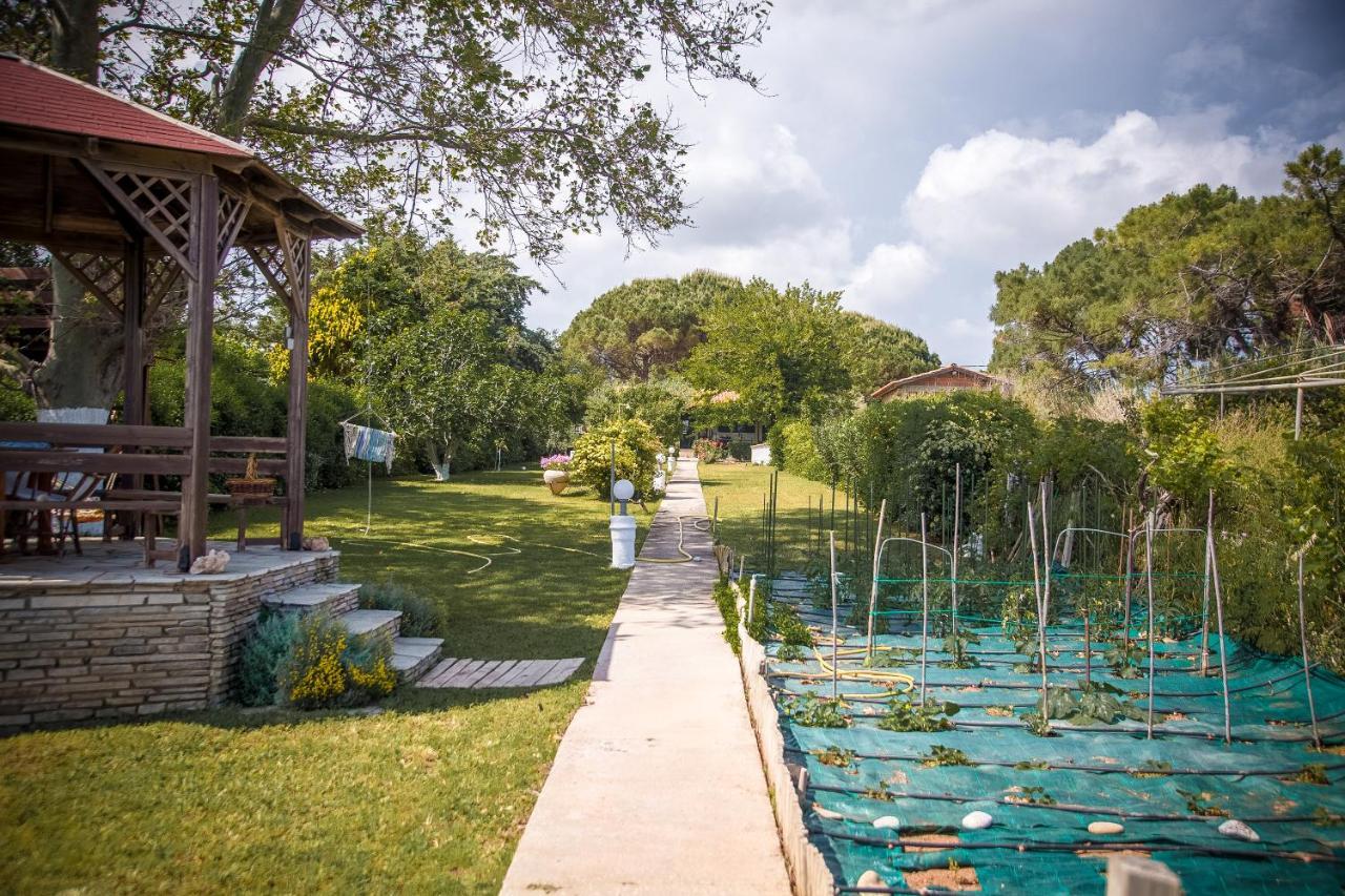 Estate Irene Βίλα Αλεξανδρούπολη Εξωτερικό φωτογραφία