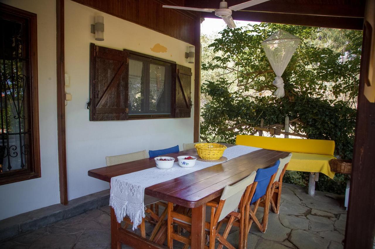 Estate Irene Βίλα Αλεξανδρούπολη Εξωτερικό φωτογραφία
