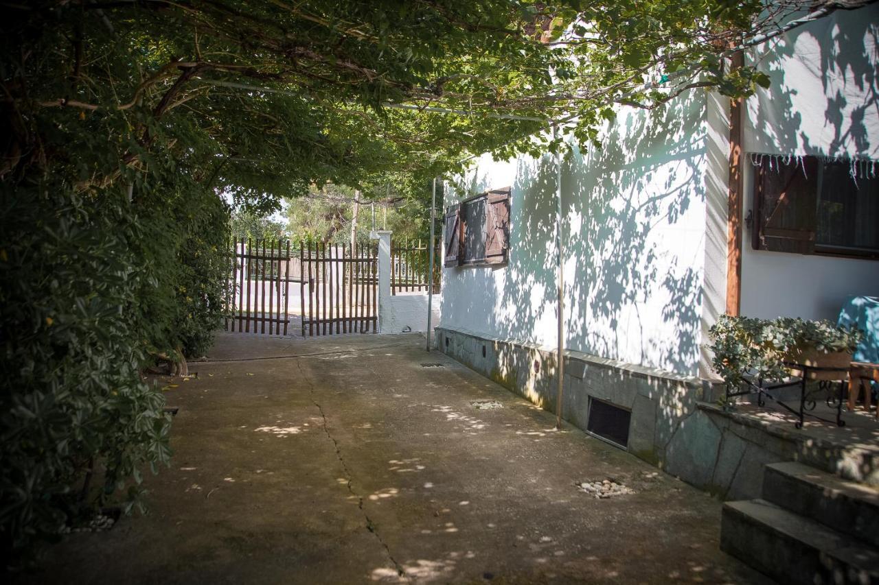 Estate Irene Βίλα Αλεξανδρούπολη Εξωτερικό φωτογραφία