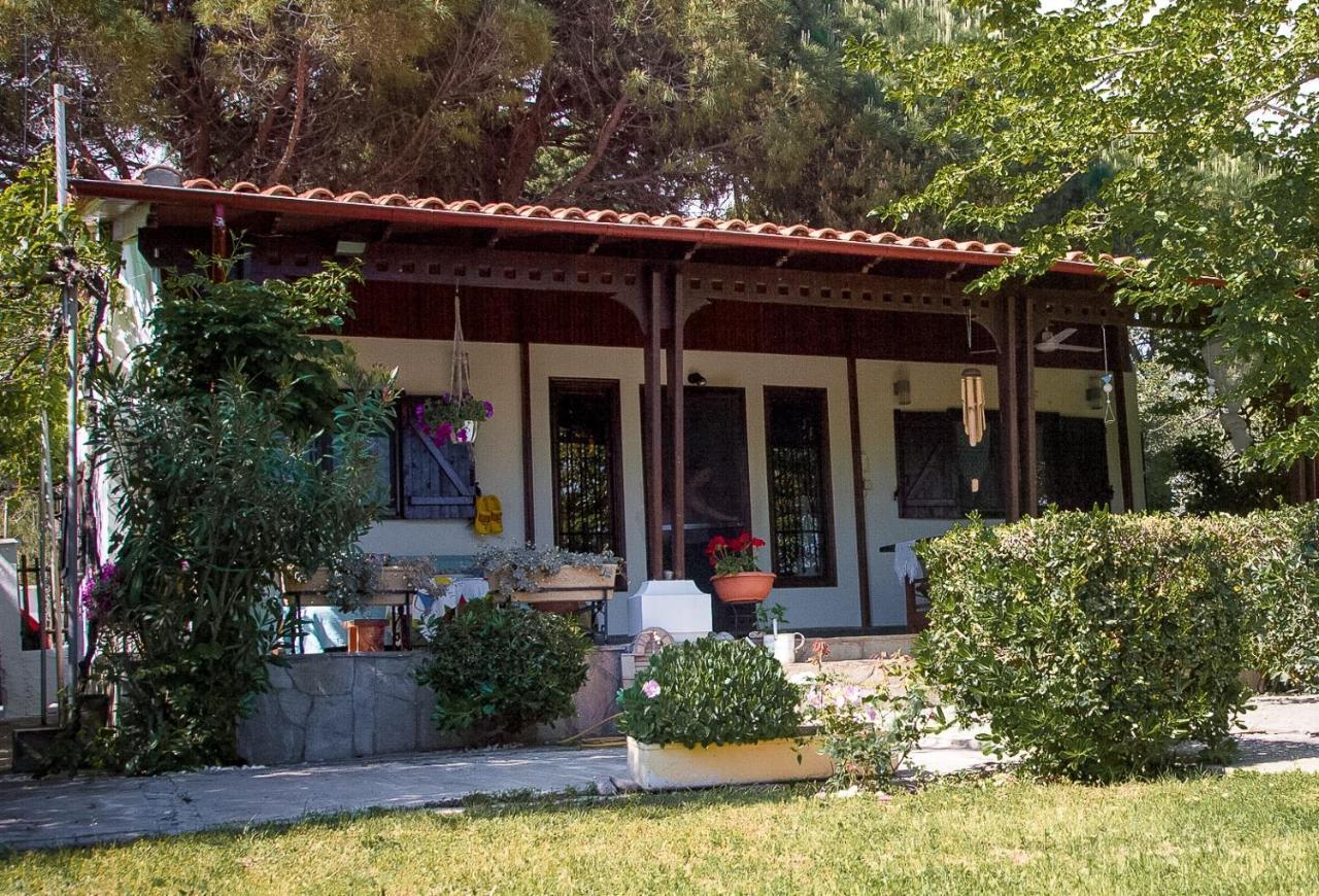 Estate Irene Βίλα Αλεξανδρούπολη Εξωτερικό φωτογραφία