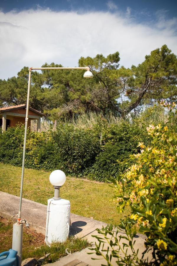 Estate Irene Βίλα Αλεξανδρούπολη Εξωτερικό φωτογραφία