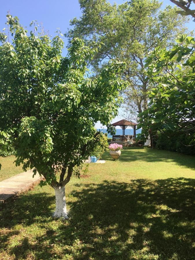 Estate Irene Βίλα Αλεξανδρούπολη Εξωτερικό φωτογραφία