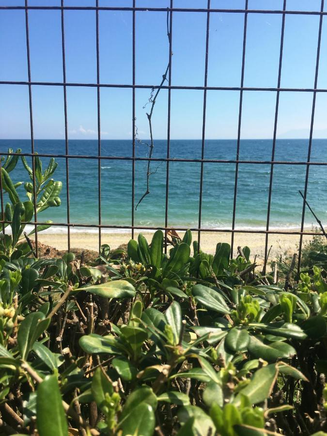 Estate Irene Βίλα Αλεξανδρούπολη Εξωτερικό φωτογραφία